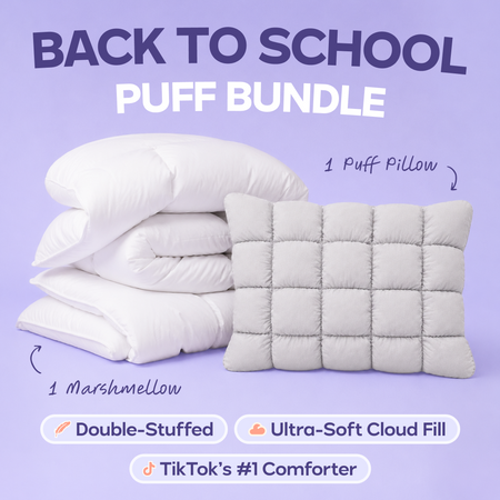 Back to School Puff Pillow Bundle